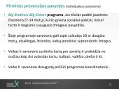 Savanorystė ir socialinis darbas 10 puslapis