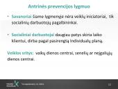 Savanorystė ir socialinis darbas 11 puslapis