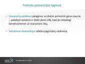 Savanorystė ir socialinis darbas 13 puslapis