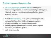 Savanorystė ir socialinis darbas 15 puslapis