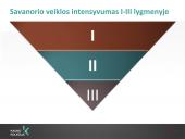 Savanorystė ir socialinis darbas 16 puslapis