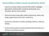 Savanorystė ir socialinis darbas 17 puslapis