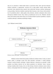 Internetinė reklama (marketingo kursinis darbas) 11 puslapis