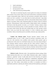 Internetinė reklama (marketingo kursinis darbas) 13 puslapis