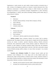 Internetinė reklama (marketingo kursinis darbas) 14 puslapis