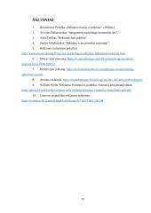 Internetinė reklama (marketingo kursinis darbas) 19 puslapis