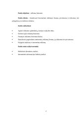 Internetinė reklama (marketingo kursinis darbas) 3 puslapis
