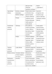 Internetinė reklama (marketingo kursinis darbas) 6 puslapis