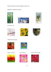 Asmeniniai raštai: kvietimai, skelbimai, žinutės, atvirukai. Pavyzdžių komentaras 11 puslapis