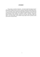 Asmeniniai raštai: kvietimai, skelbimai, žinutės, atvirukai. Pavyzdžių komentaras 3 puslapis