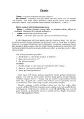 Asmeniniai raštai: kvietimai, skelbimai, žinutės, atvirukai. Pavyzdžių komentaras 8 puslapis