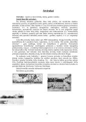 Asmeniniai raštai: kvietimai, skelbimai, žinutės, atvirukai. Pavyzdžių komentaras 9 puslapis