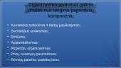 Renginių organizavimo ypatumai 4 puslapis
