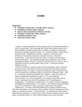 Asocialių vaikų socializacija 3 puslapis