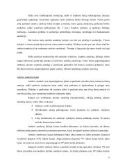 Ateities sandoriai 5 puslapis