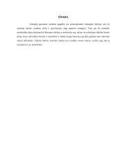 Vandens energija (referatas) 12 puslapis