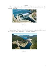 Vandens energija (referatas) 10 puslapis