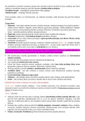 Konstitucinės teisės pagrindai. Konspektas 2 puslapis