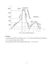 Atliekų utilizavimo įrenginiai ir sistemos 4 puslapis