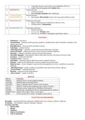 Senovės Egipto konspektas 2 puslapis