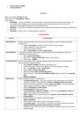 Senovės Egipto konspektas 3 puslapis