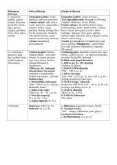 Indija ir Kinija. Istorijos konspektas 2 puslapis