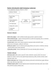 Atlyginimo už darbą organizavimas ir normavimas 4 puslapis