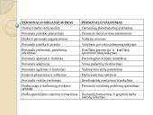 Kuo skiriasi personalo organizavimas nuo personalo valdymo? 2 puslapis
