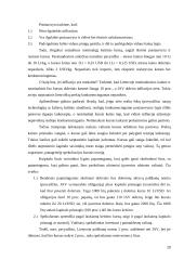 Atvirosios ekonomikos makroekonomika 20 puslapis