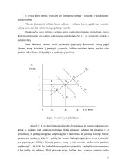 Atvirosios ekonomikos makroekonomika 5 puslapis