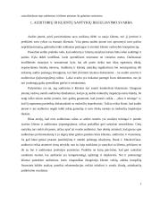 Auditoriaus ir klientų santykių reguliavimas 3 puslapis