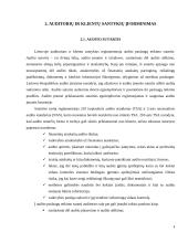 Auditoriaus ir klientų santykių reguliavimas 4 puslapis