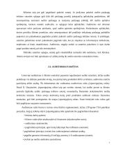 Auditoriaus ir klientų santykių reguliavimas 7 puslapis