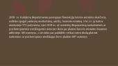 Negatyvus įkalinimo poveikis nuteistojo psichologijai ir elgesiui 11 puslapis