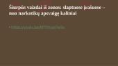 Negatyvus įkalinimo poveikis nuteistojo psichologijai ir elgesiui 14 puslapis