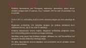 Negatyvus įkalinimo poveikis nuteistojo psichologijai ir elgesiui 19 puslapis