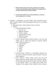 Maisto pasirinkimas. Sveikatai palankaus maisto pasirinkimo piramidė 2 puslapis