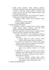 Maisto pasirinkimas 4 puslapis