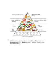 Maisto pasirinkimas 6 puslapis