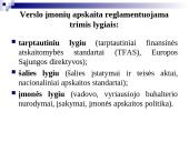 Buhalterinė apskaita (skaidrės) 13 puslapis