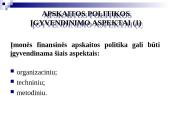 Buhalterinė apskaita (skaidrės) 17 puslapis