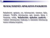 Buhalterinė apskaita (skaidrės) 3 puslapis
