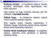 Apskaitos procesas ir jo organizavimas. Buhalterinės sąskaitos. Apskaitos registrai 16 puslapis