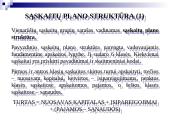 Apskaitos procesas ir jo organizavimas. Buhalterinės sąskaitos. Apskaitos registrai 4 puslapis