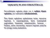 Apskaitos procesas ir jo organizavimas. Buhalterinės sąskaitos. Apskaitos registrai 5 puslapis