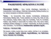 Apskaitos procesas ir jo organizavimas. Buhalterinės sąskaitos. Apskaitos registrai 6 puslapis