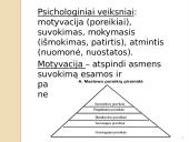 Marketingas - skaidrės 8 puslapis