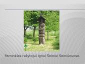 Ignas Šeinius ir jo kūryba 15 puslapis