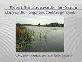 Ignas Šeinius ir jo kūryba 17 puslapis