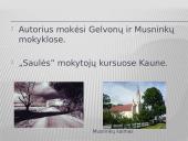 Ignas Šeinius ir jo kūryba 3 puslapis